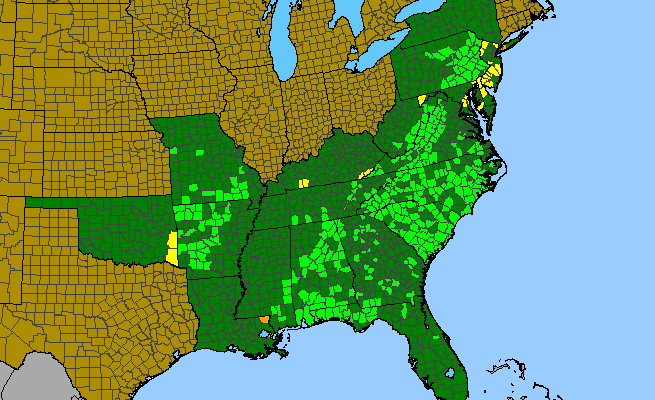 The range of Amianthium muscitoxicum